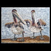 Mosaïque plicans